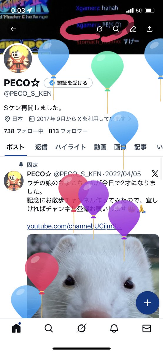 PECO☆ tweet media