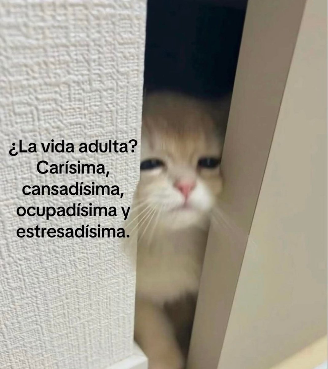 En Júpiter (@en_jupiter_) on Twitter photo 