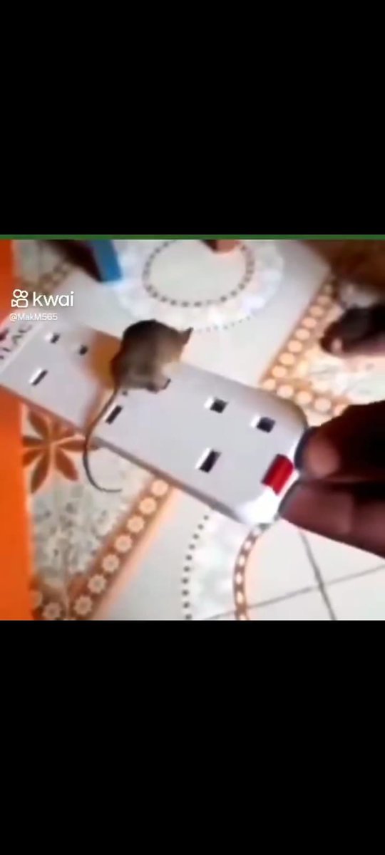 jsktsktsk's tweet image. الفار مسكه الكهرب  بعد المبارات