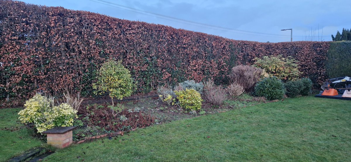 GandJLandscapes's tweet photo. Our latest project is to turn an area of the garden with a Tenerife vibe.. So palm tree's it is π΄ π΄ #Nottingham #Landscaping #gardendesign #Calverton #Tenerife π https://t.co/ACv8ewDpsb https://t.co/6p0tuwsUdz https://t.co/iIjAlqc082