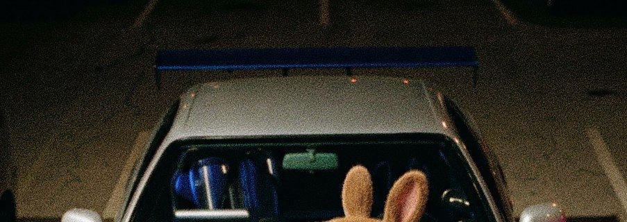 chillguycto's tweet image. .