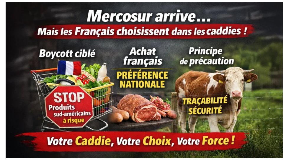 🇧🇪🇷🇺🇺🇸Roger mangé (@dubois_olphr) on Twitter photo 