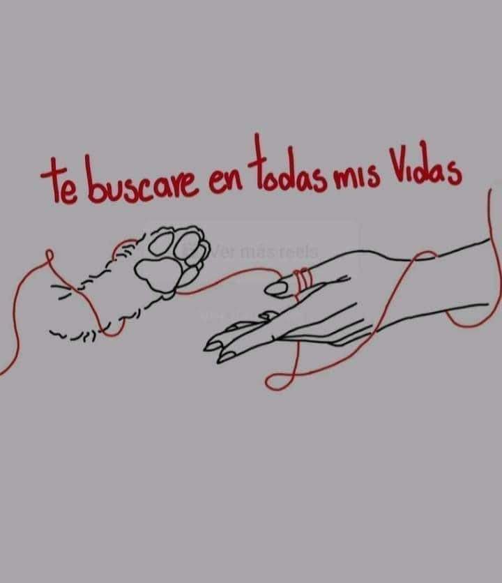 Frases Barbie (@barbie_context) on Twitter photo 