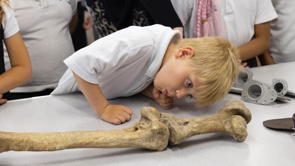 Museums Association tweet media