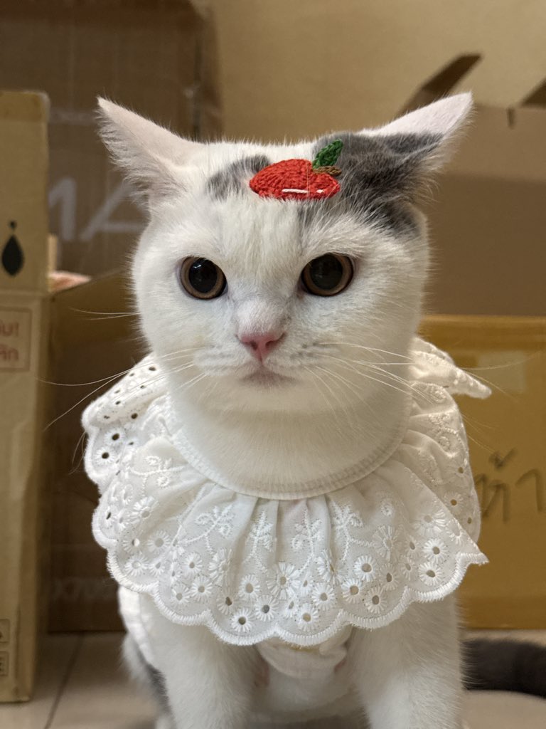 yoojeenoo's tweet image. ดีจ้ะ