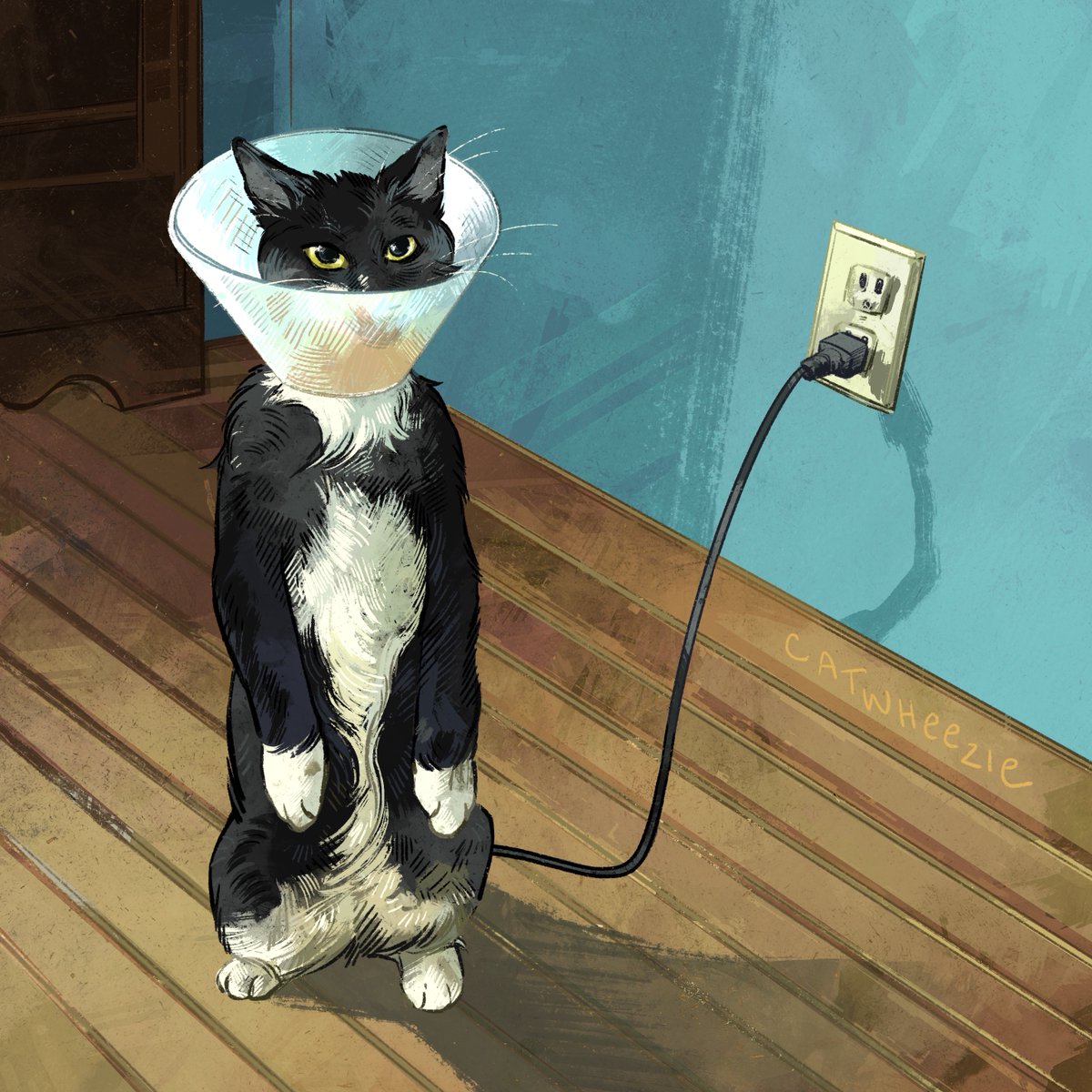 catwheezie🐾 tweet media