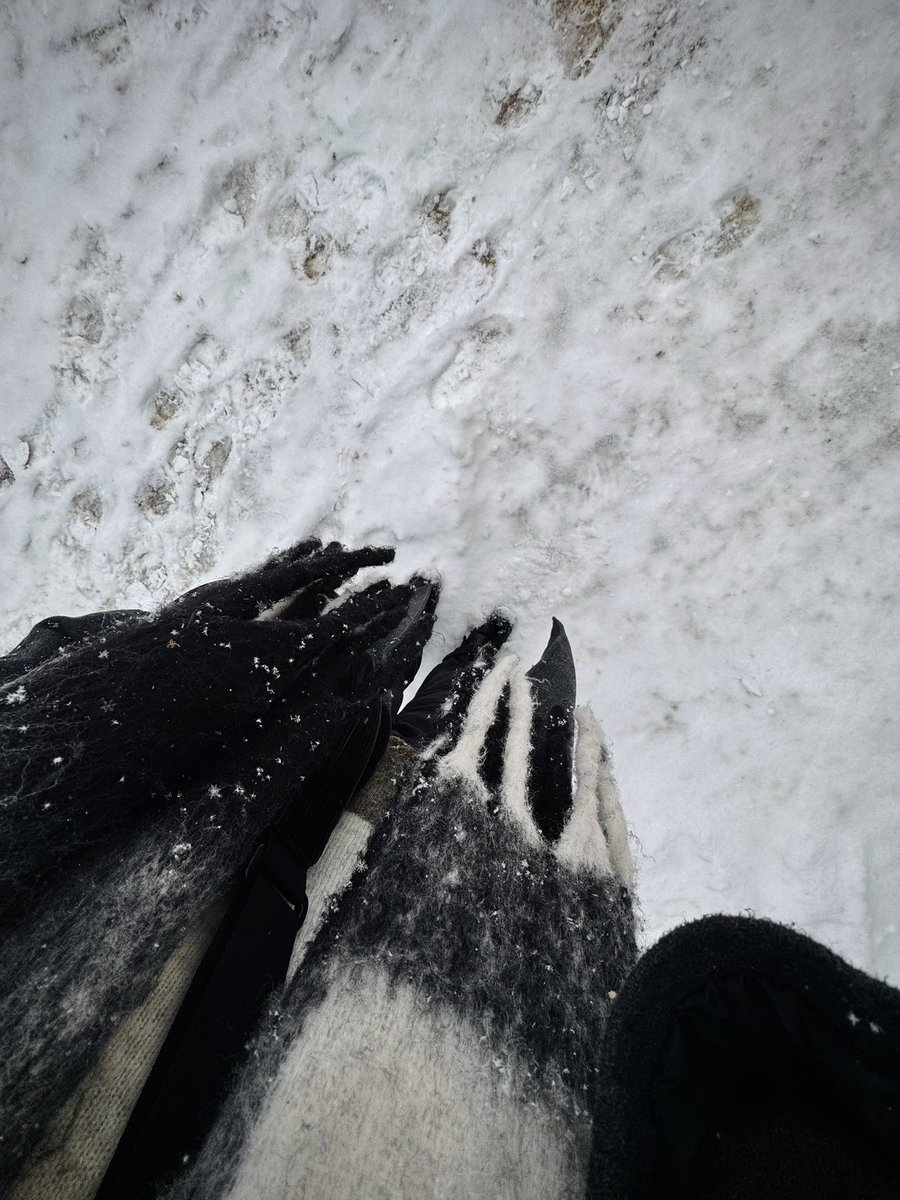 thisismerete tweet media