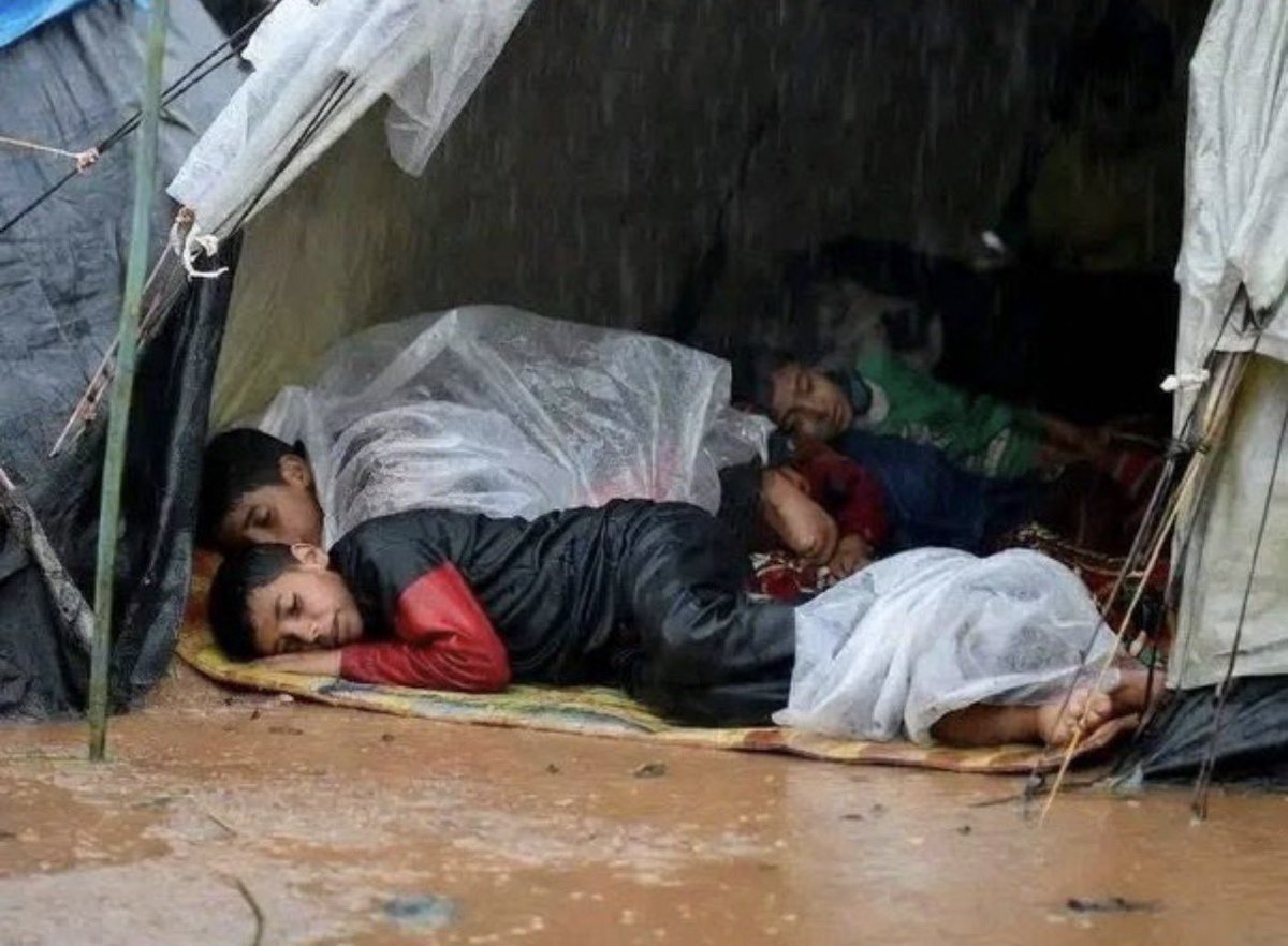 itsmo7ammad's tweet image. أطفال غـ زة تمـ وت من شدة البرد
لمن يهمه الأمر