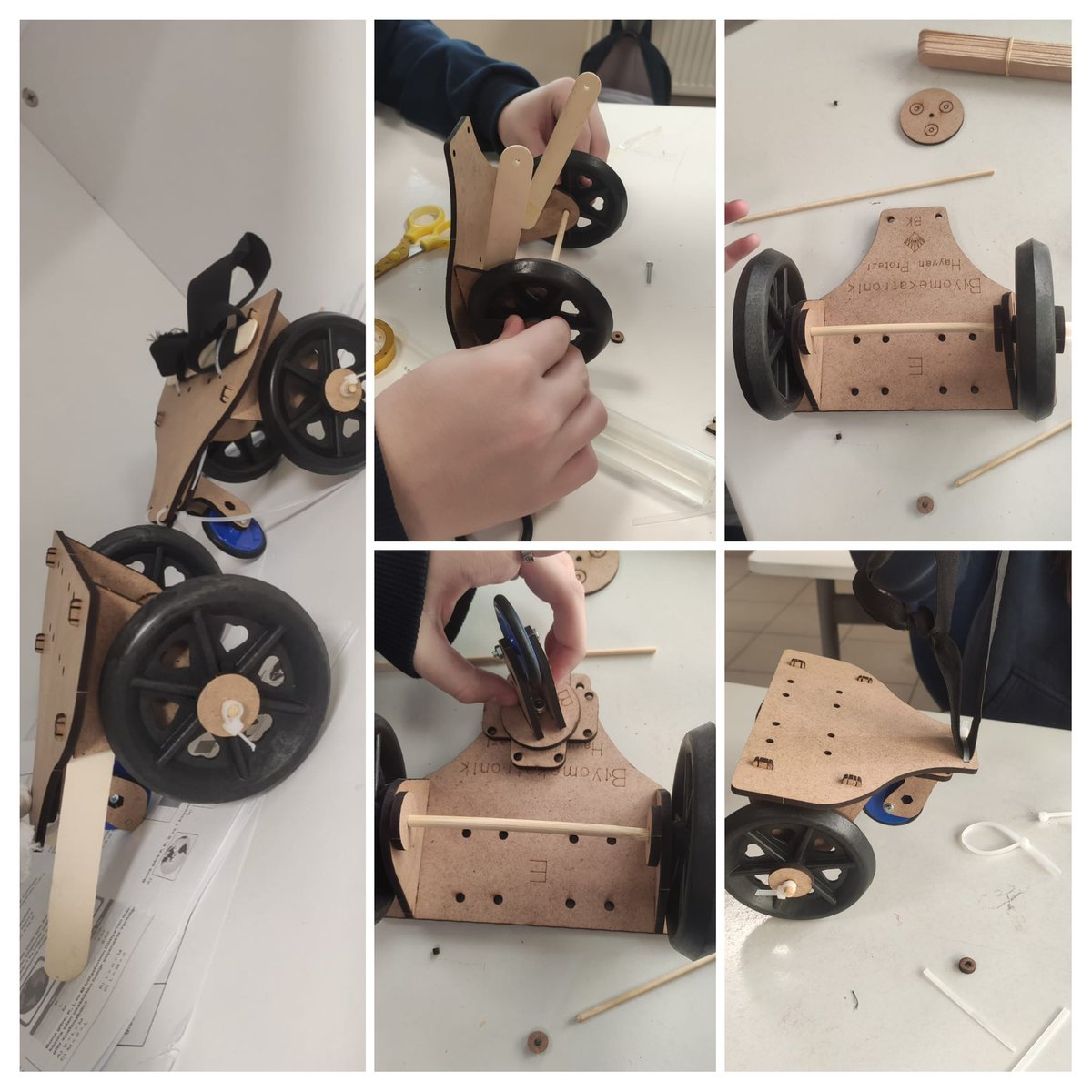 Anadolu Lisesi ile Fen ve Teknoloji Lisesi 9.sınıf öğrencilerimiz Biyoloji dersinde ‘’Biyomekatronik Mühendisi’’ adlı STEM çalışması ile hayvan dostlarımız için protez tasarladılar.