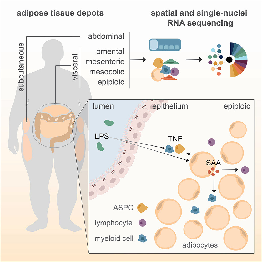 Eric Topol tweet media