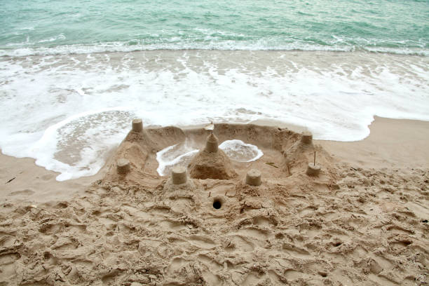 fishapproved's tweet image. anytime someone brings up TNA