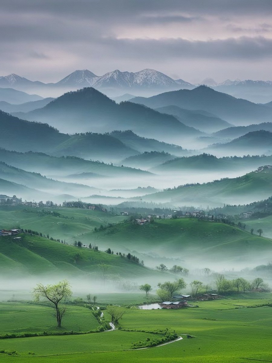 Soul_Sloop's tweet image. 杨绛先生曾说：
“你有不伤别人的教养，却缺少一种不被人伤害的气场，若没有人护你周全，就请以后善良中带点锋芒，为自己保驾护航。”

慎独则心安，主敬则身强。善良是一种选择，锋芒是一种底气。一个人的锋芒，从来不是凭空而来的，而是源于内心的强大和清晰的边界感。