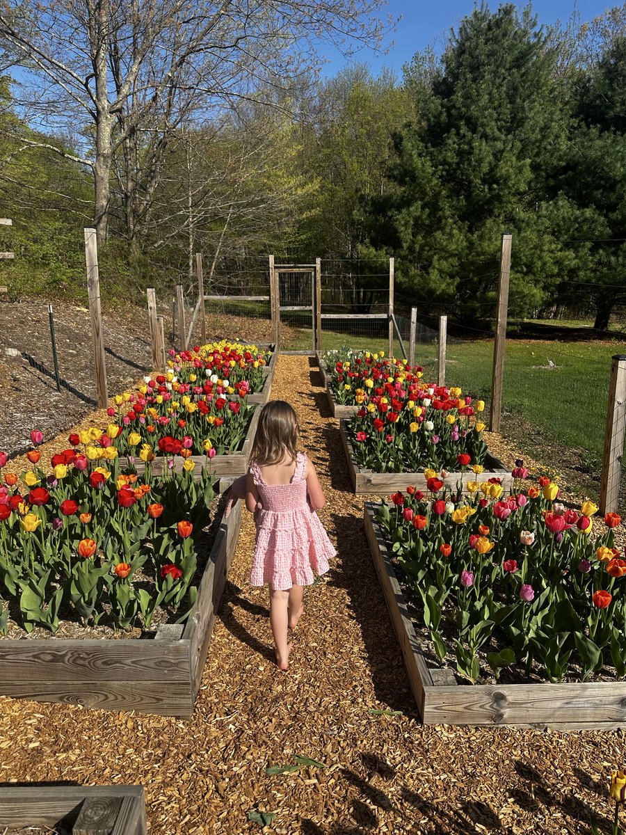 Greg Cello tweet media