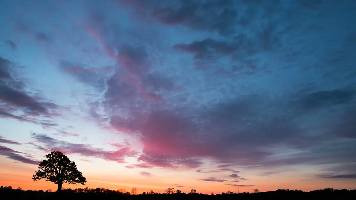 Soul_Sloop's tweet image. 心理学上有一个“杜利奥定律”。意思是：“一个人没有热情，一切都将处于不佳状态；没有什么比失去热忱更使人觉得垂垂老矣。” 

你对生活的热情高度，决定了你生活的精彩程度。对生活失去热情的人，就好比车辆没有油一样，动力不足，自然无法向前奔跑。 追风赶月莫停留，平芜尽处是春山。