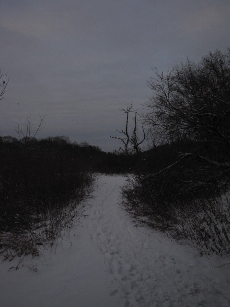 02void's tweet image. 