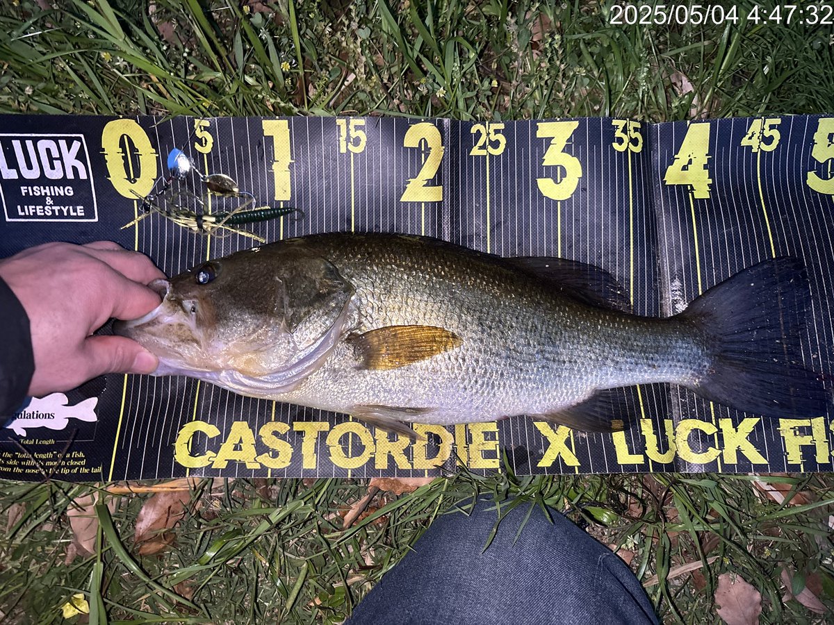 XkHQtZK8kx3fhWt's tweet photo. 釣れるワイヤーベイトの代名詞😊👍🎣!
使えば分かるからっ😊👍🎣!
#BAKSYN https://t.co/tKiVTXbLfn