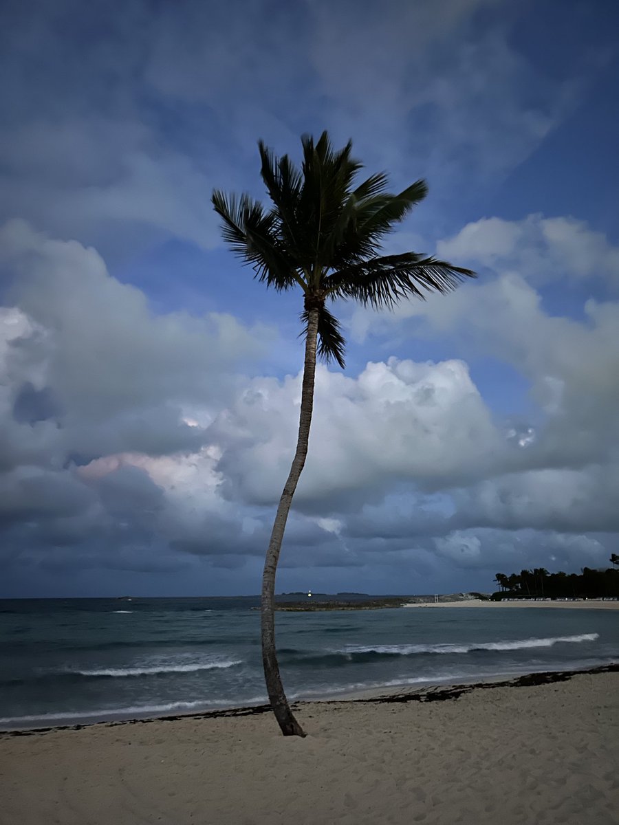 Marija Kundakovic tweet media