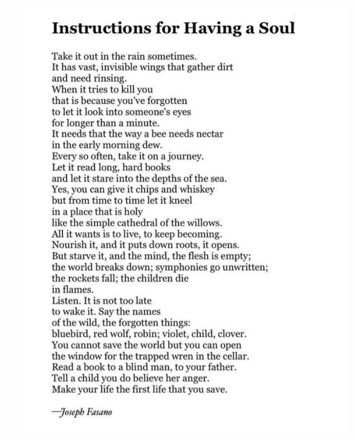 Joseph Fasano tweet media