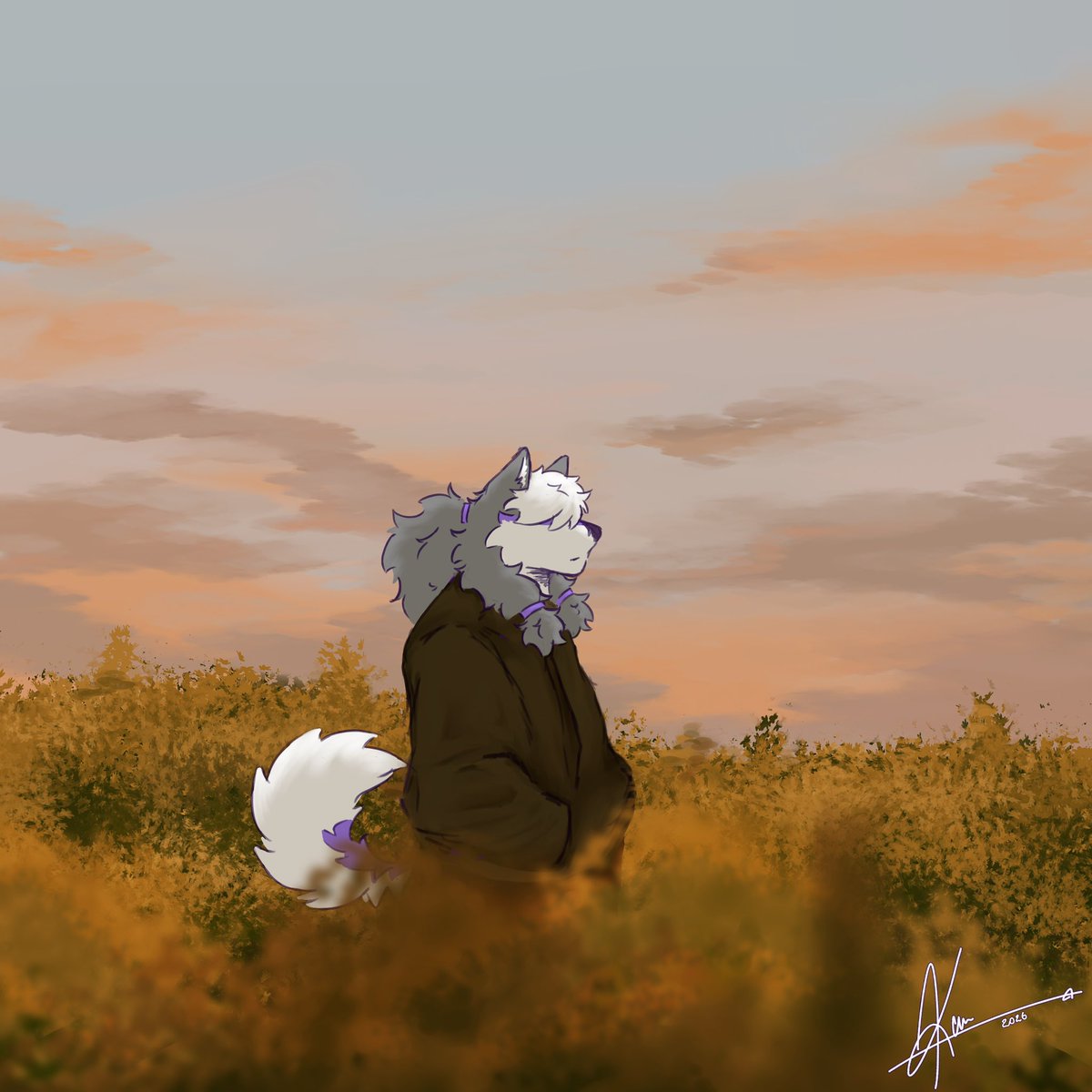 itzkaiixo's tweet image. tranquility🍂