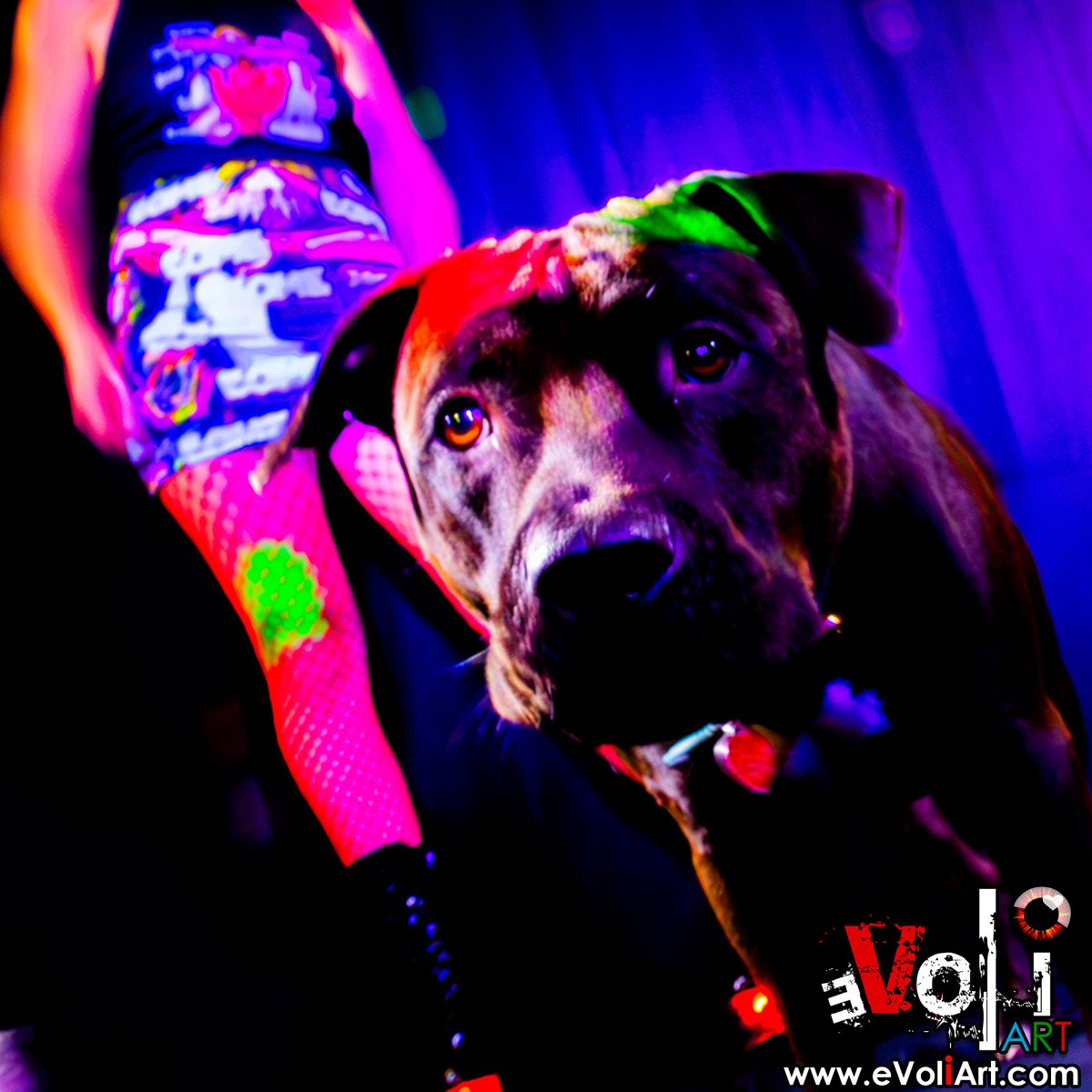 underlab's tweet image. 📷 @PrincessPoiised + her dawgs = unmatched energy.
Rocker fit meets loyal love.
Wearing Pencil Skirt, Racerback Tank, and pure boss energy. View Full Set Here - bit.ly/AmandaPLZ-EVOL
