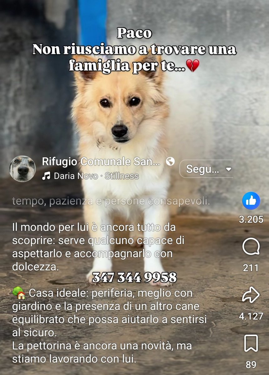 giuseppe esposito (@geisup) on Twitter photo 