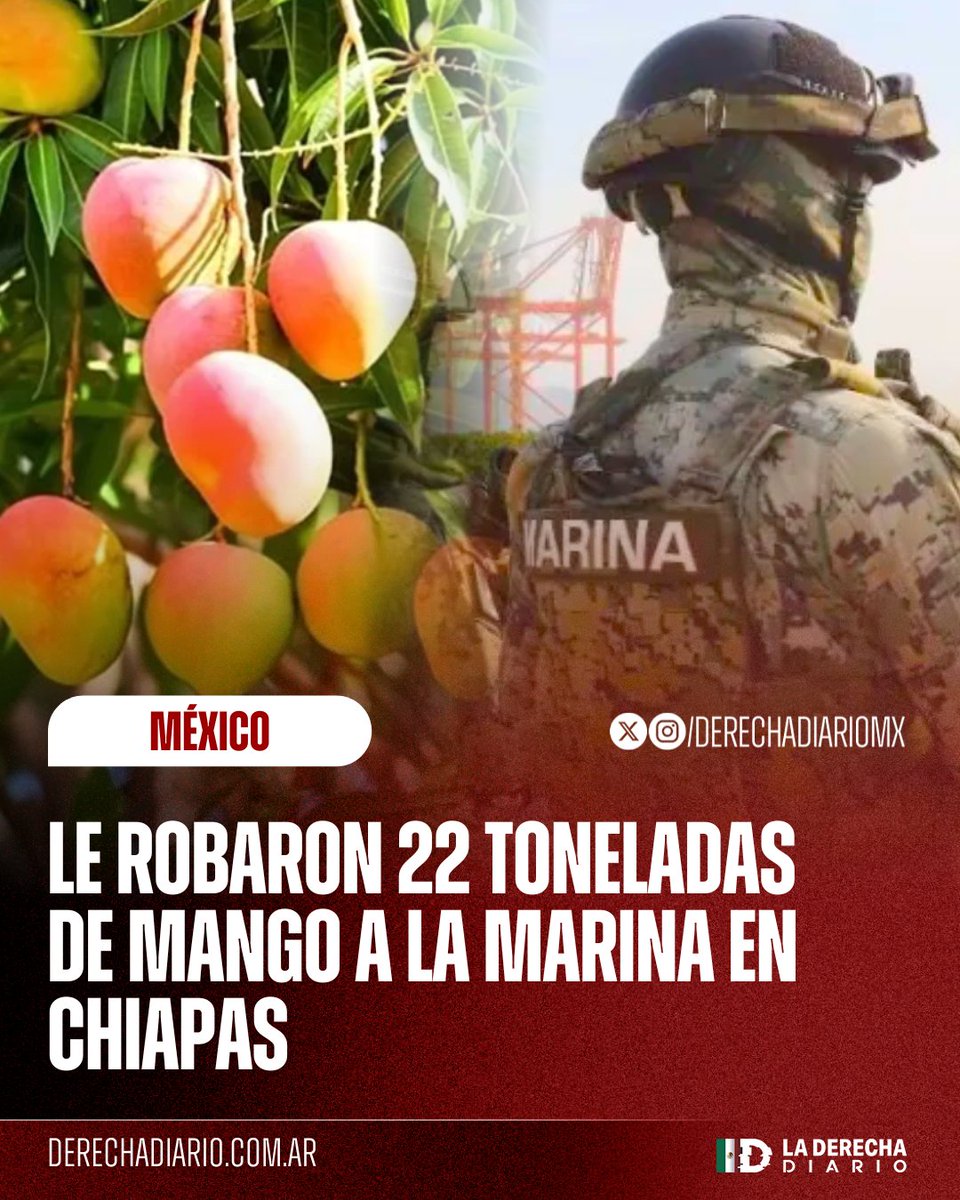 DerechaDiarioMX's tweet image. 🇲🇽 | NO PUEDEN NI DEFENDER UNOS MANGOS: La Secretaría de Marina reportó el robo de 22 toneladas de mango, con un valor estimado de 143 mil pesos, en un predio que ellos “custodiaban” en el estado de Chiapas.