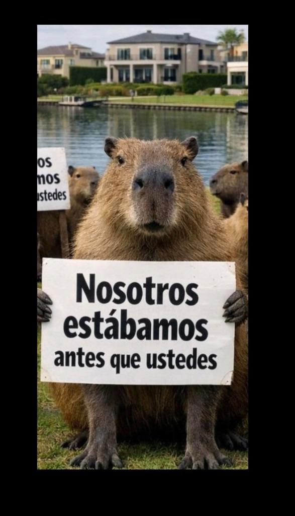 APOYEMOS A ESTOS ANIMALITOS 🥰🥰