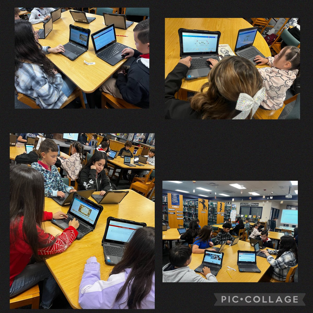 Clarke Middle School Librarian/Bibliotecaria MLS tweet media