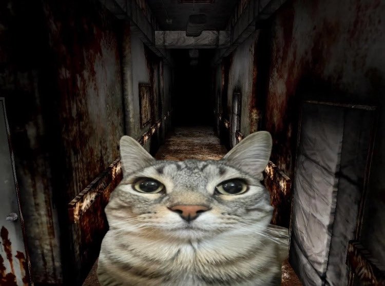 mooncatvivi's tweet image. haunted by the lives i could be living and my wasted potential and the time im losing