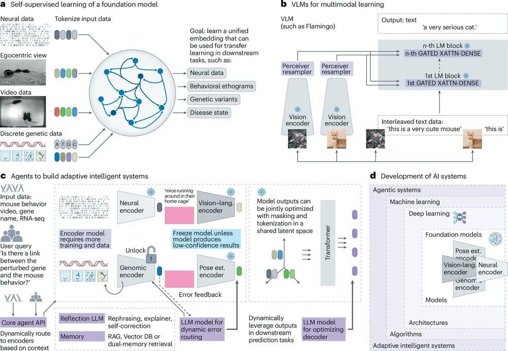 Mackenzie Weygandt Mathis, PhD tweet media