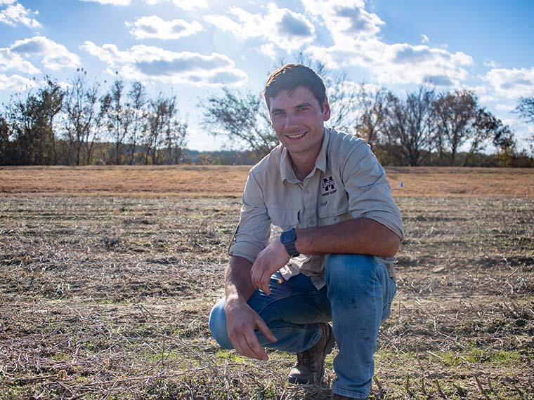 MSU CALS/MAFES tweet media