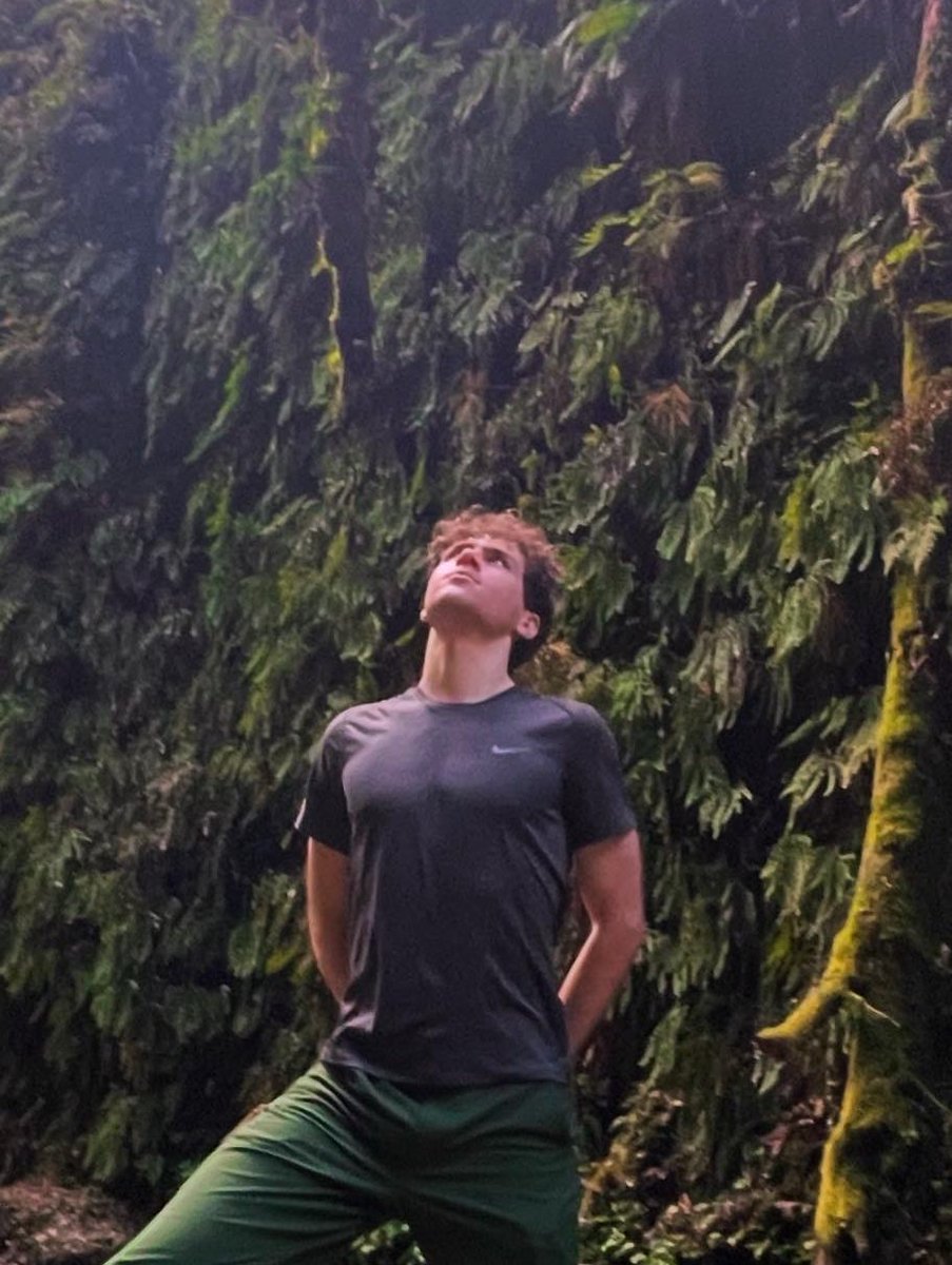 b17shaw's tweet photo. fern canyon https://t.co/k1u1ViG4uN