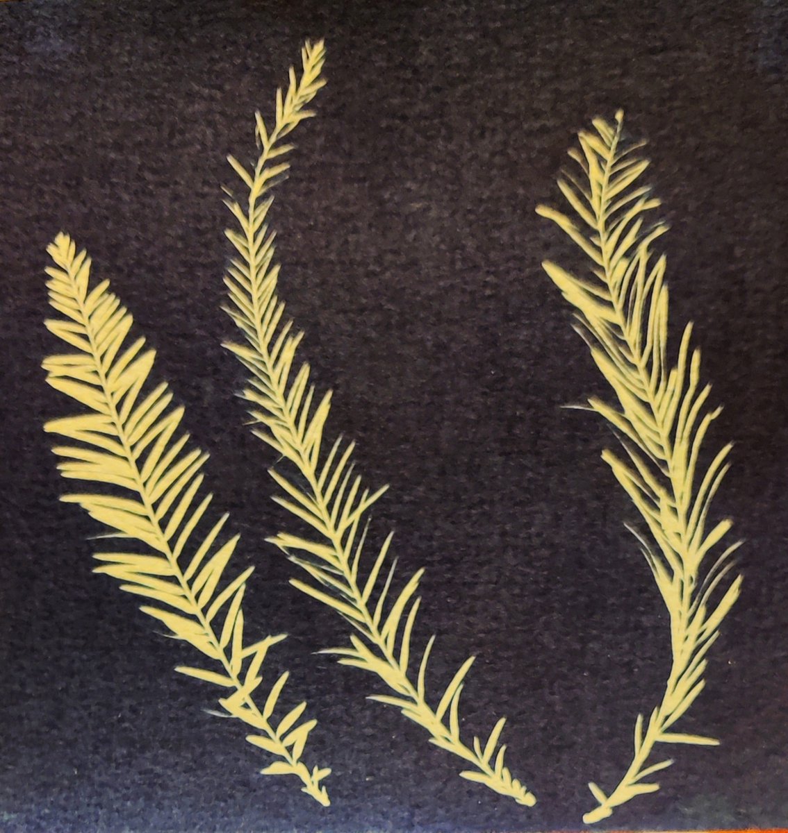 Randy Resnick (@randulo@mastodon.social)🎷🎸 tweet media