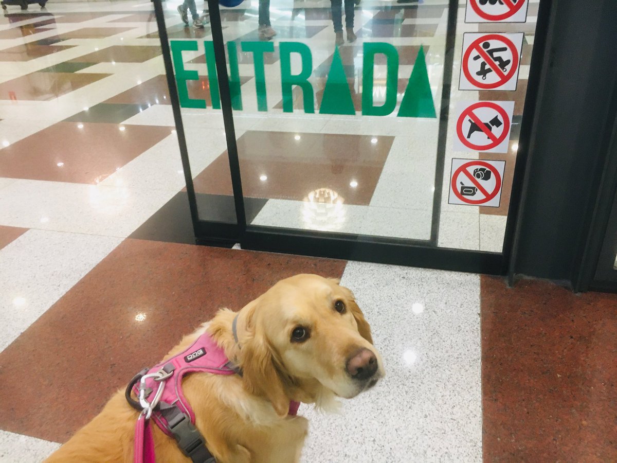 Jorge Guerrero tweet media