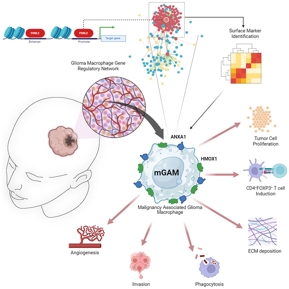 Kenny Yu MBBS PhD FRCS tweet media