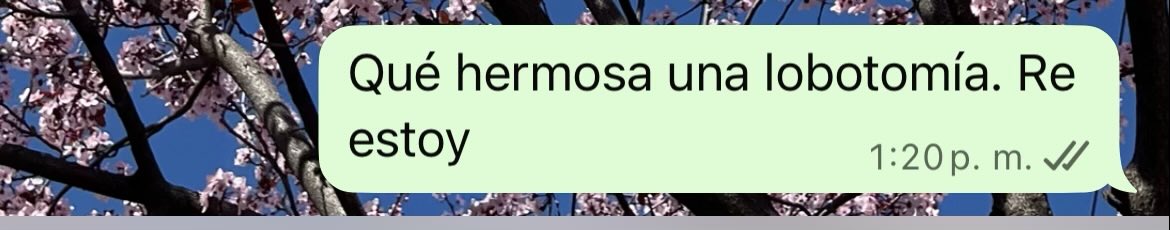 Creo que es hora de que mi psicóloga vuelva de sus vacaciones.