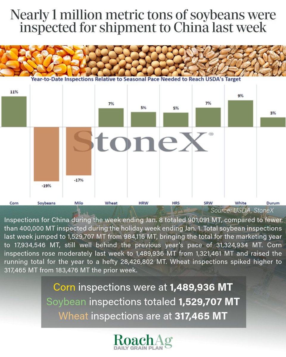 Roach Ag Daily Grain Plan tweet media