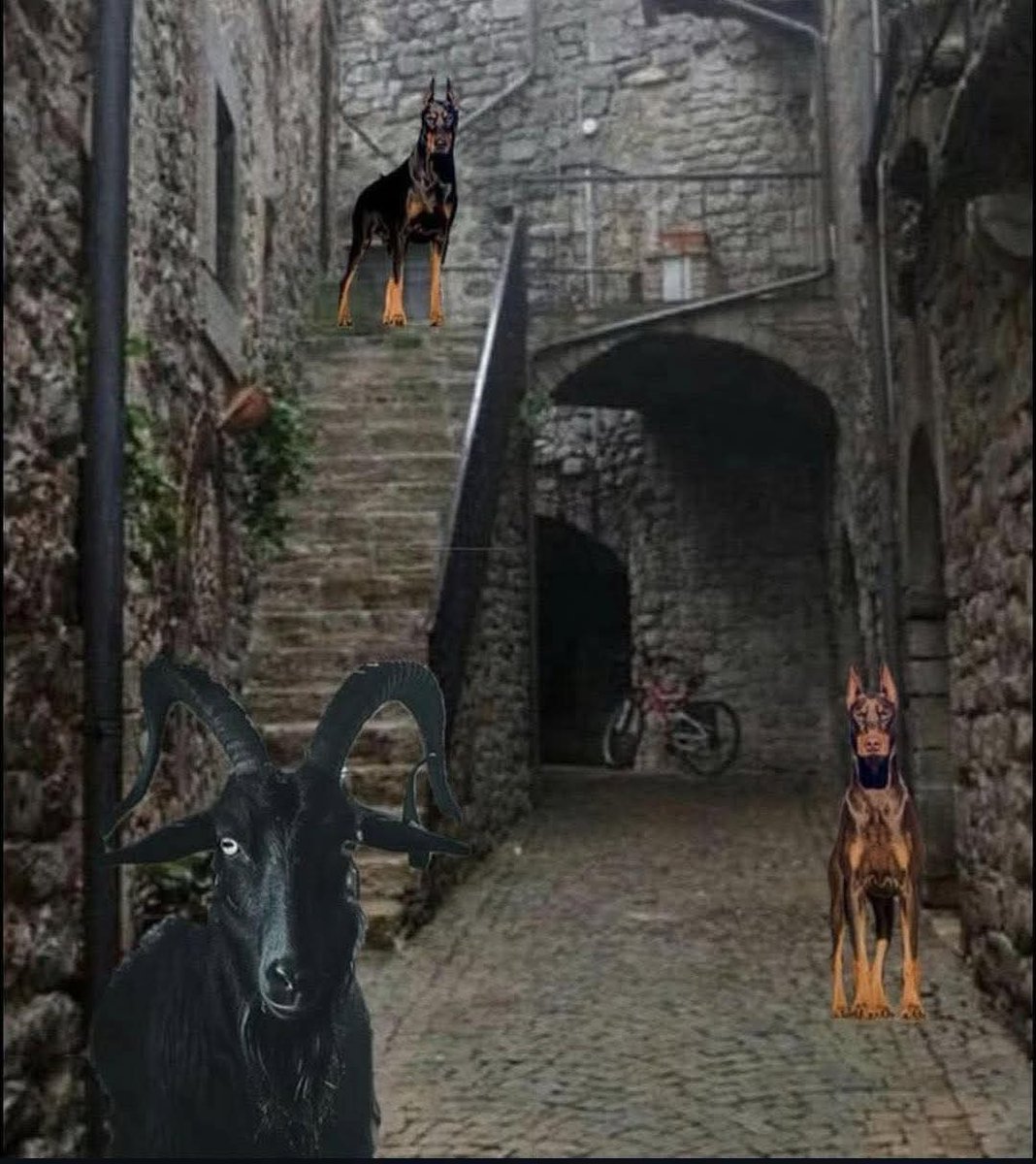 PraiseTheFrom (@praisethefrom) on Twitter photo 