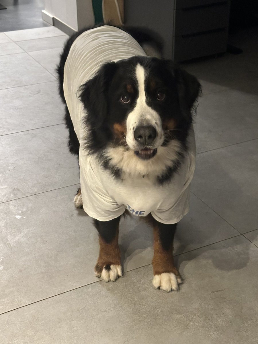 Pria im Herzen - Amy & Jeany bei mir tweet media