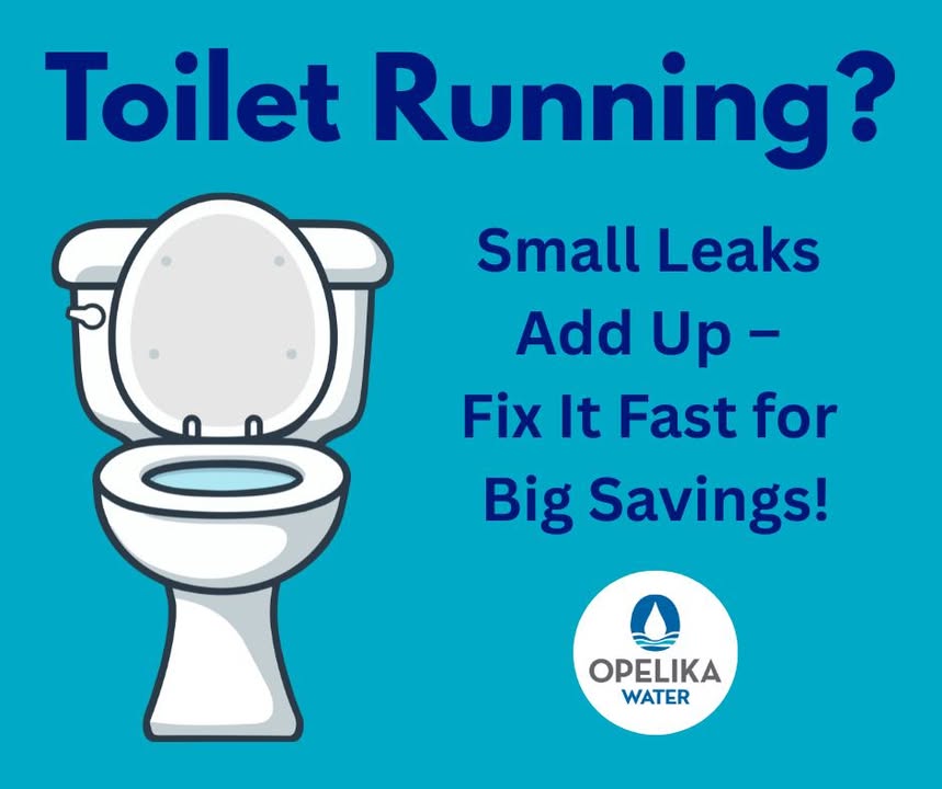 🚽 That running toilet isn’t just annoying. A worn flapper can waste water around the clock — often without you noticing.
💡 Quick tip: Add a few drops of food coloring to the tank. If color appears in the bowl without flushing, you’ve got a leak. Check today, save tomorrow!