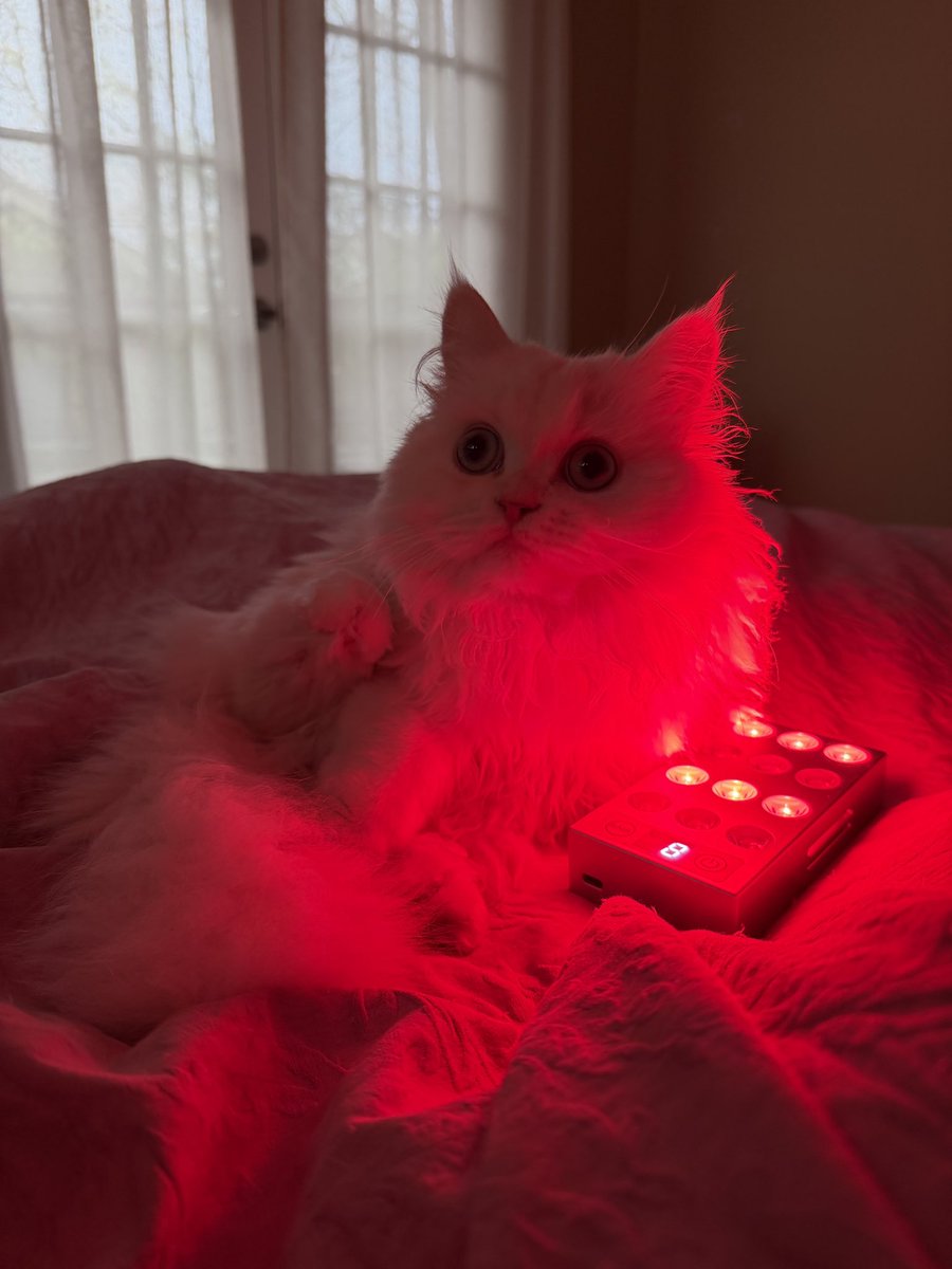 Carlisle tweet media