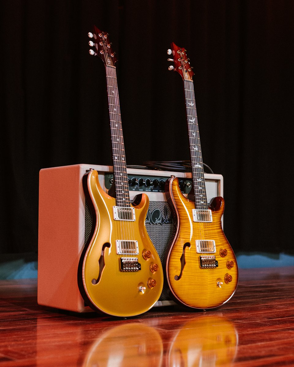 prsguitars's tweet image. After a couple successful limited runs, the DGT Semi-Hollow is officially being added to the PRS Core lineup! This new model offers the unique character of a semi-hollow body while carrying over the features you know and love from the Core DGT.