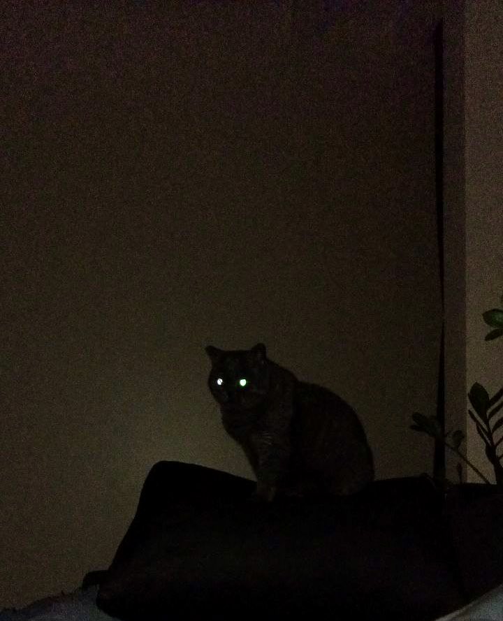 Чуєте, так а де екофлов заряджать