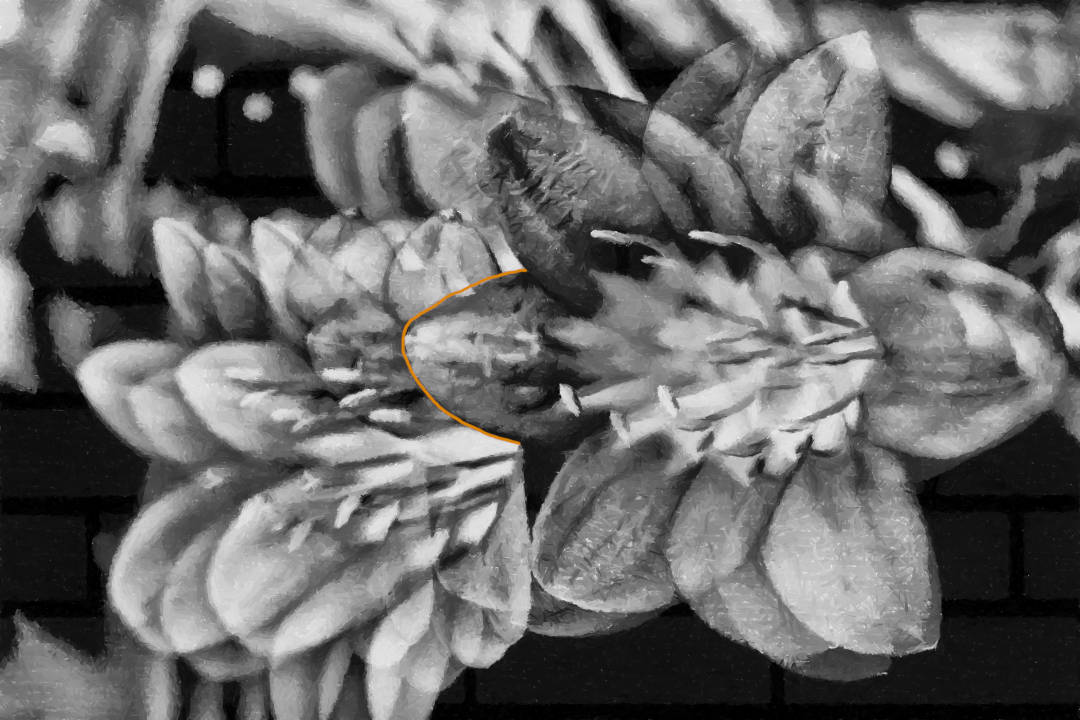 Titel: Blumen - Digitalart und Tusche Malerei. 

Title: Flowers - digitalart and ink painting.
Jörg Schubert / #kunstnftstudio / Artists
 
#DigitalArt #Kunstfotografie  #NFTCollectors #Art #Painting #Malerei #Streetart #Graffiti #digitalwork #DigitalArtist #digitalpainting