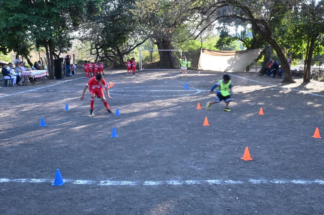 CoevalMorelos's tweet image. Verificamos la implementación del programa Nodos de Desarrollo Comunitario “Petate de Colores”, de la Secretaría de Bienestar, en el municipio indígena de Xoxocotla.

#LaTierraQueNosUne