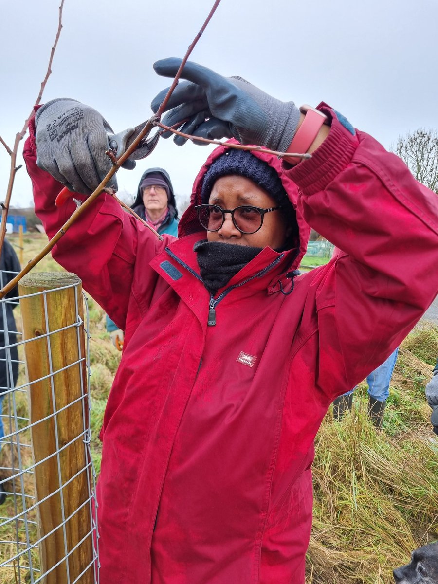 fruitnutvillage's tweet image. Thank you #CommunityEnvironmentTrust for hosting us at #CastleValeAllotments today. #WinterFruitPruning #CastleVale