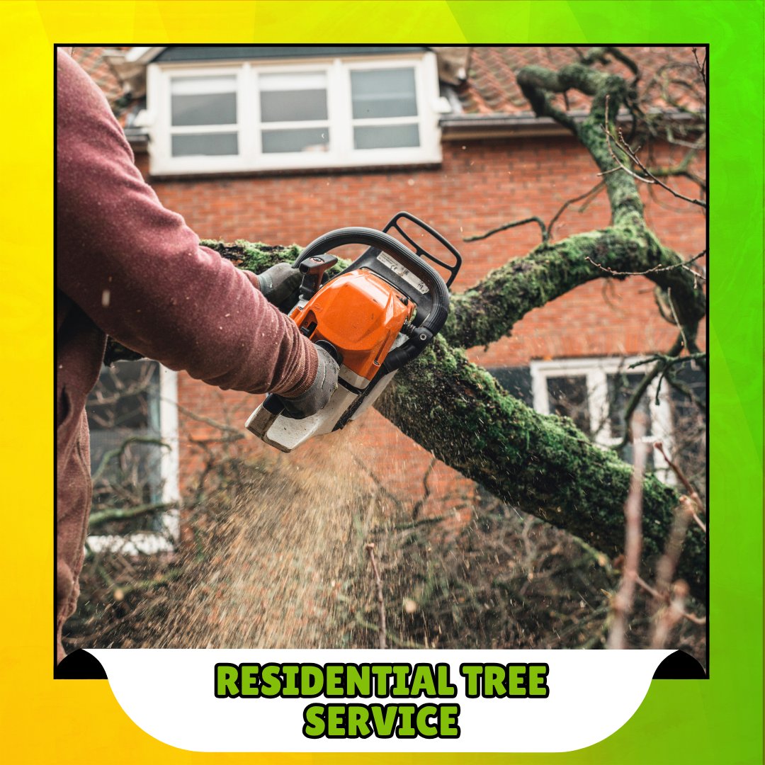 Tiny Tim Tree Service (@tinytimtreeserv) / Posts / X