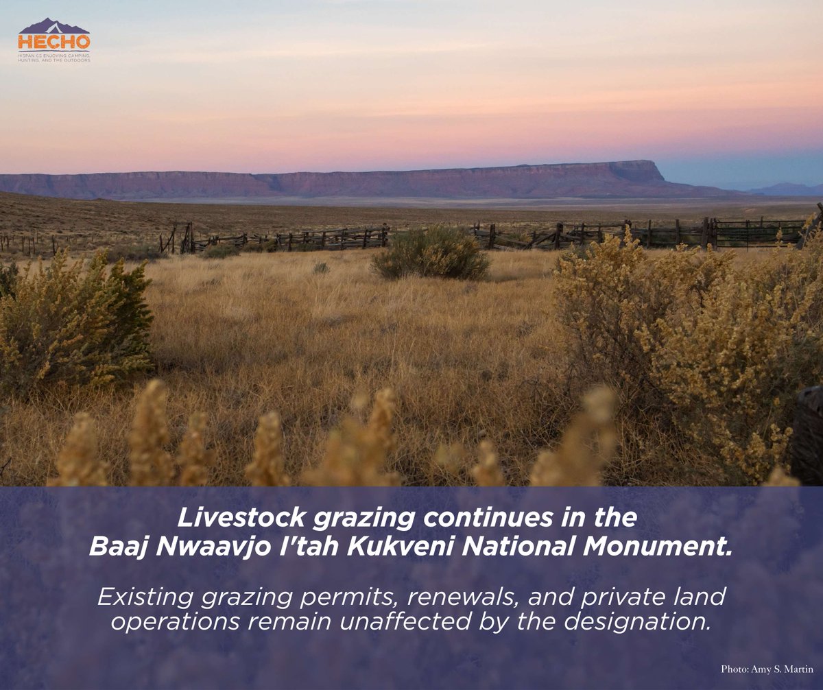 The designation of Baaj Nwaavjo I’tah Kukveni didn’t change livestock grazing.
🐄 Grazing within the monument continues.
📄 Existing grazing permits remain valid.
🔁 Permit renewals follow the same rules as before.
🏡 Ranchers grazing on private land can continue as usual.