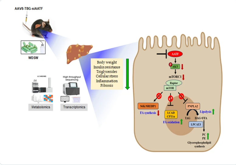 Shivaram P Singh tweet media
