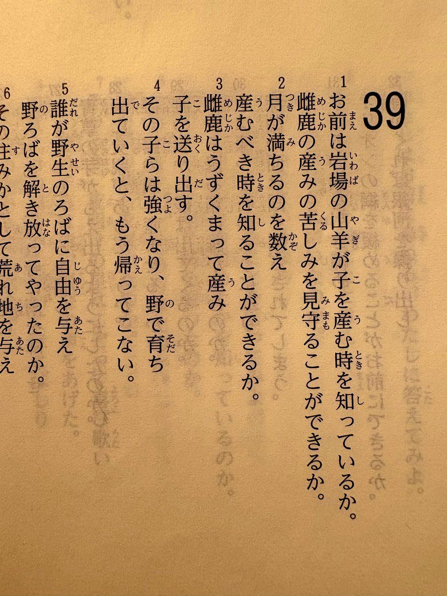 飴屋法水 (@norimizua) / Posts / X